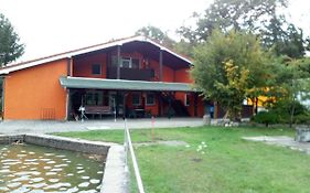 Pension Waldbad Dommitzsch